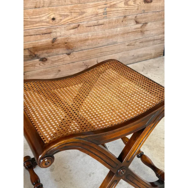 Regency Campaign-Style X-Base Cane Stools in the Manner of Gillows of Lancaster-Pair - Image 4